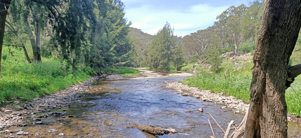 Turon River Sofala